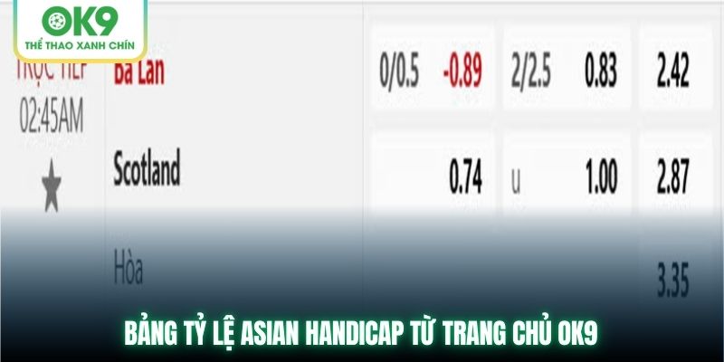 Bảng tỷ lệ Asian Handicap từ trang chủ OK9