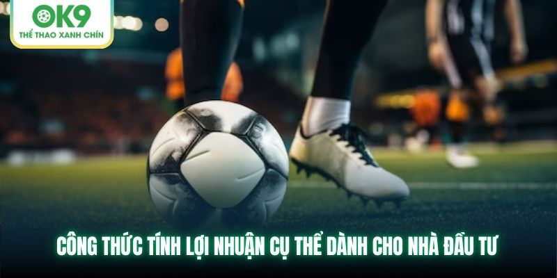 Công thức tính lợi nhuận cụ thể dành cho nhà đầu tư