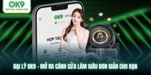 Đại Lý OK9 - Ưu Đãi Lớn Thu Nhập Hàng Trăm Triệu Mỗi Tháng